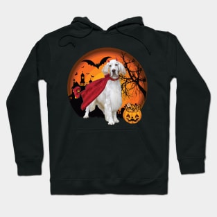 Happy Halloween English Setter Dogs Halloween Gift Hoodie